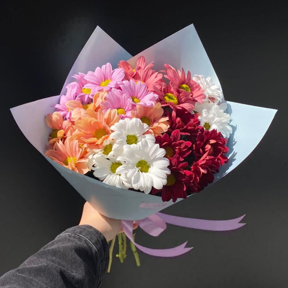 Mix of Chrisanthemum